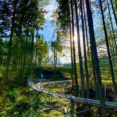 Panorama Chalet Mountain Residence Буковель Экстерьер фото